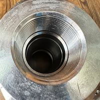 شیر گازی  ۳۱۶ دو تیکه NACE دنده ای نیپون